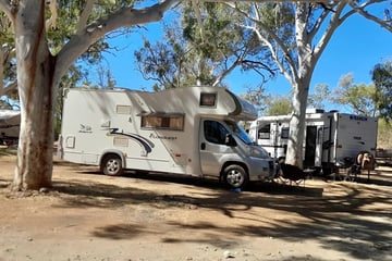 Spring Creek Free Camping Area and Rest Stop