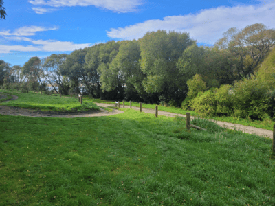 Hurunui River Mouth photo 3