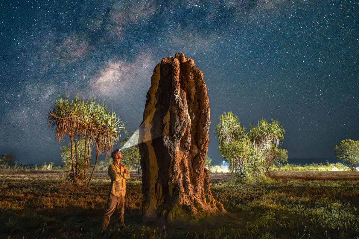Magnetic Termite Mounds