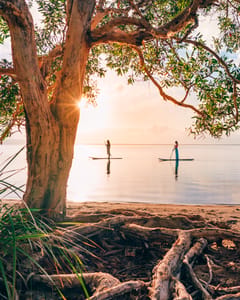 Habitat Noosa Everglades Eco Camp photo 3