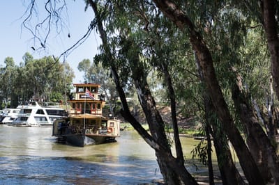 Tasman Holiday Parks - Moama on the Murray photo 3