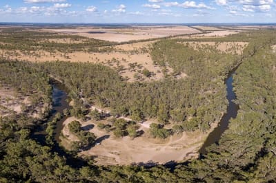 Bengalla Reserve photo 4