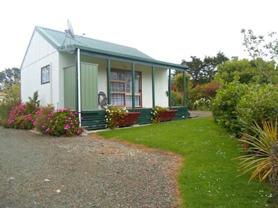 Paparoa Motor Camp photo 5