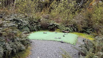 Lake Mackenzie Campsite