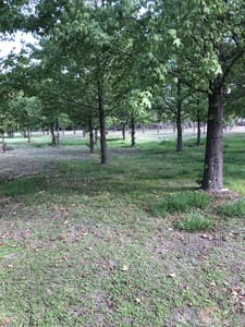Heathcote Rest Area