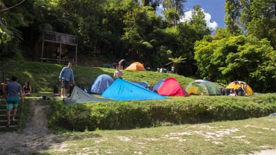 John Coull Campsite, Taranaki, Manawatu-Whanganui, New Zealand | CamperMate | CamperMate