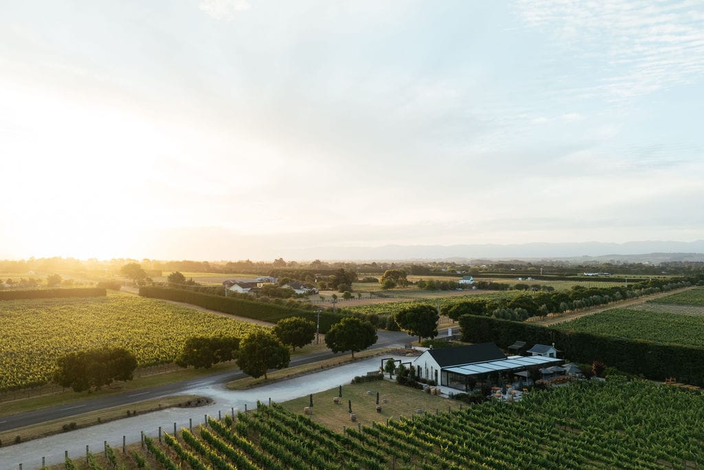 Moy Hall Vineyard