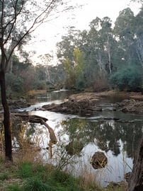 Edi Cutting Camping Area - Photo 3