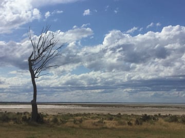 Four Mile Beach Camping Ground