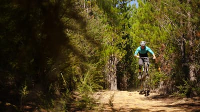 Kaiteriteri Recreation Reserve
