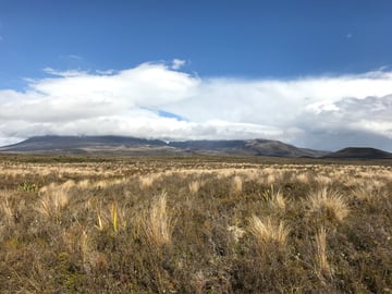 Tongariro National Park View