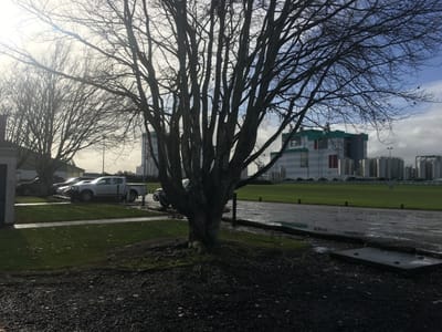 Edendale Camping Area