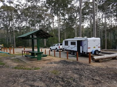 Bodalla Park Forest Rest Area photo 3