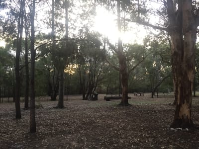 Boat Harbour Camp photo 2