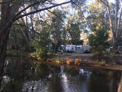 Euroa Caravan Park photo 3