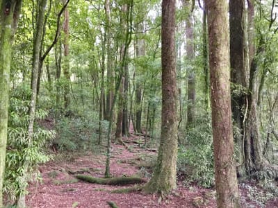 Unpowered Sites photo 5
