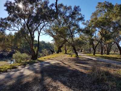 Four Mile Camping Reserve