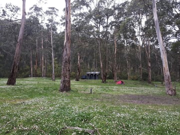 Allenvale Mill Site, Great Ocean Road, Victoria, Australia | CamperMate | CamperMate - Main photo