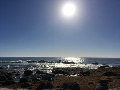 Musselroe Bay photo 4