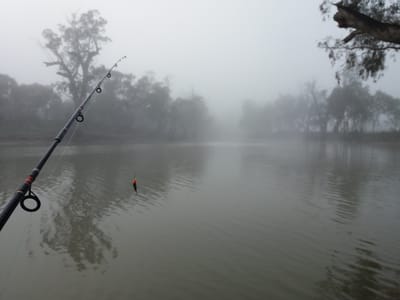 Wakool River