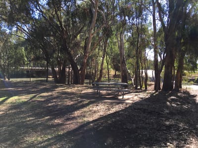Wallaroi Creek Rest Area