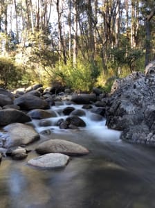 Things to do and places to stay in Australia
