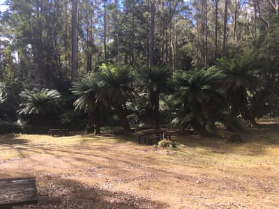 Leven Canyon Reserve photo 5