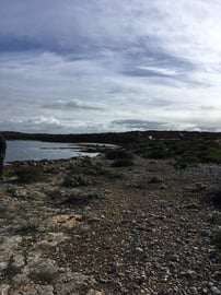 Wittelbee Conservation Park