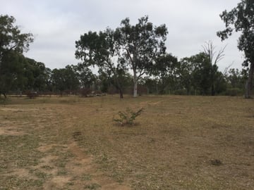 Things to do and places to stay in Australia