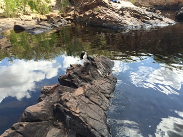 Leliyn (Edith Falls) Campground, Nitmiluk National Park, Katherine Daly, Northern Territory, Australia | CamperMate | CamperMate