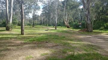 Edi Cutting Camping Area