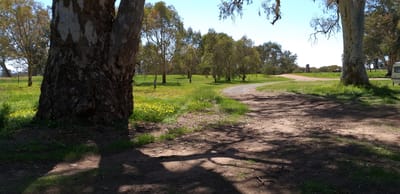 Goyder's Line Memorial Rest Area