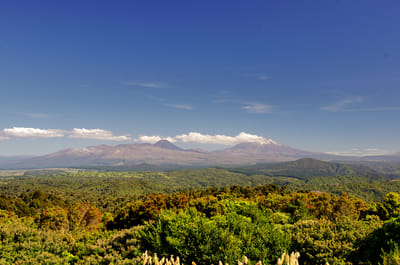 Waituhi Lookout Camping Area