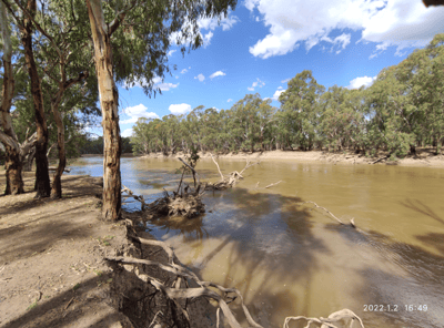 Nyah-Vinifera Park State Forest Camping Area