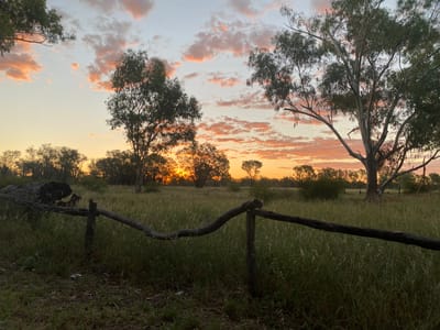 Lloyd Jones Weir Camp Area photo 2