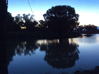 May's Bend photo 5