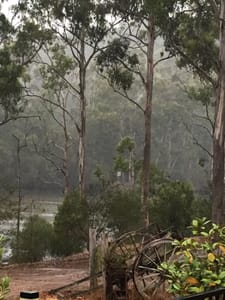 Wallagaraugh River Retreat, Lakes, Victoria, Australia | CamperMate | CamperMate