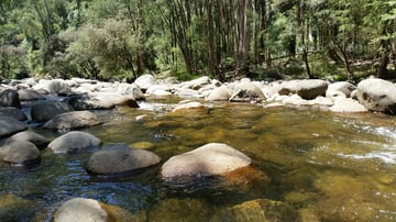 Things to do and places to stay in Australia