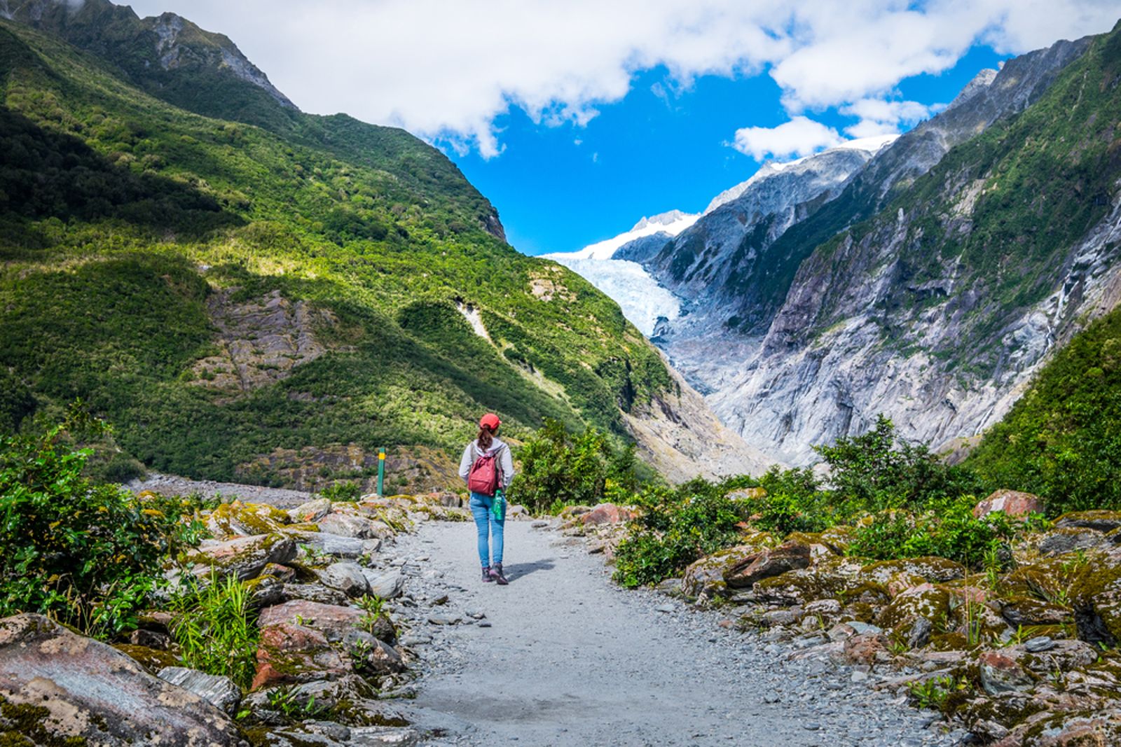 Franz Josef Glacier - Roberts Point
