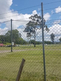 Murwillumbah Showground