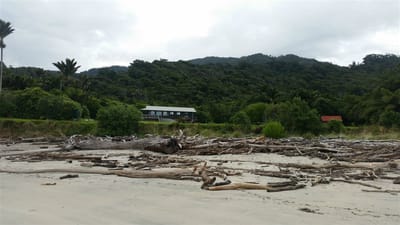 Heaphy Campsite
