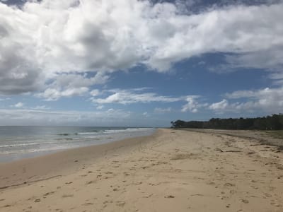 Inskip Point Campground photo 4