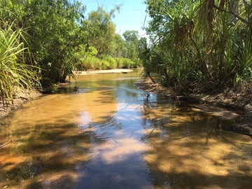 Tjuwaliyn (Douglas) Hot Springs Park, Katherine Daly, Northern Territory, Australia | CamperMate | CamperMate