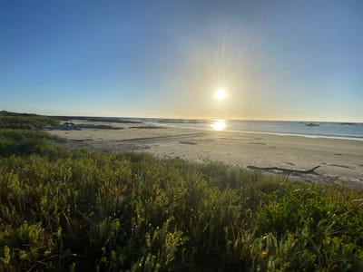 Nelson Bay