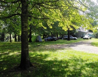 Urbenville Forest Park