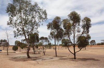 BIG4 Stuart Range Outback Resort
