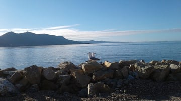 Collingwood Holiday Park