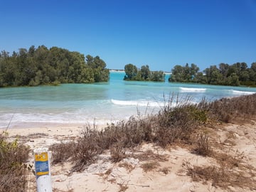Willie Creek Camping Area