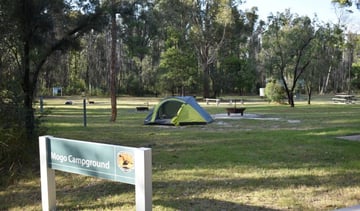 Mogo campground, Sydney, New South Wales, Australia | CamperMate | CamperMate