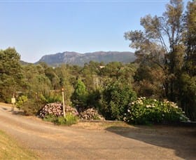 Rosebery Cabin and Tourist Park photo 4